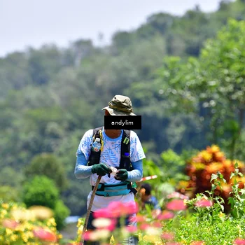 Runner Photo 5091916