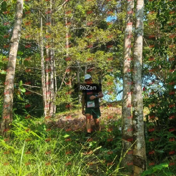Runner Photo 5094