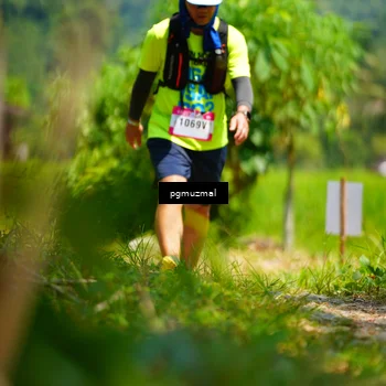 Runner Photo 5094264