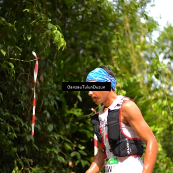 Runner Photo 5094912