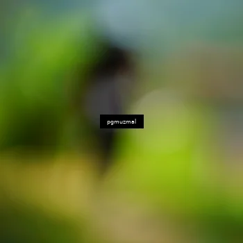 Runner Photo 5095333