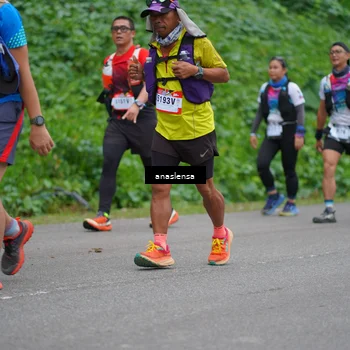 Runner Photo 5095596
