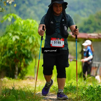 Runner Photo 5095848