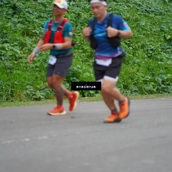 Runner Photo 5095921