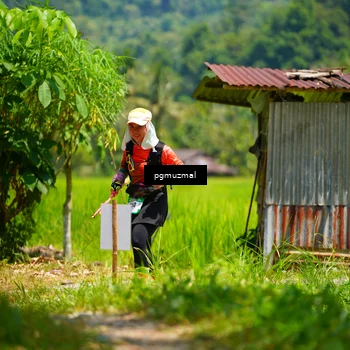 Runner Photo 5095986