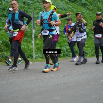 Runner Photo 5096237