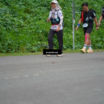 Runner Photo 5096314