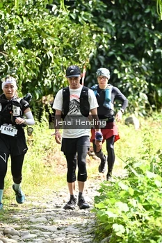 Runner Photo 5096361