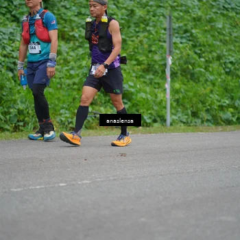Runner Photo 5096929