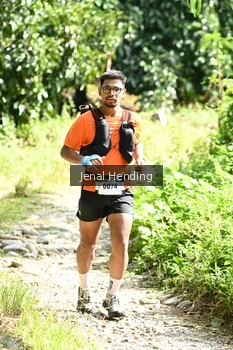 Runner Photo 5097024