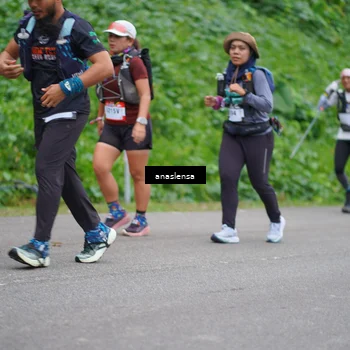 Runner Photo 5097191