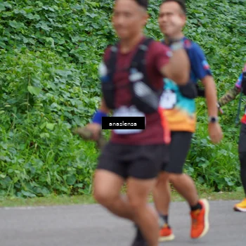 Runner Photo 5097938
