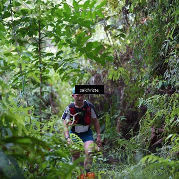 Runner Photo 5098079