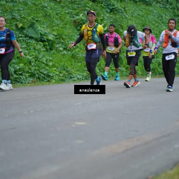 Runner Photo 5098855
