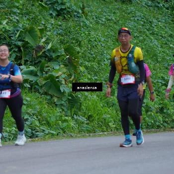 Runner Photo 5098914