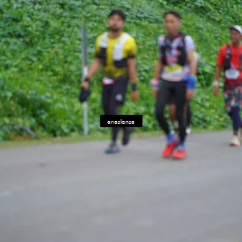 Runner Photo 5099126