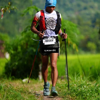 Runner Photo 5099972