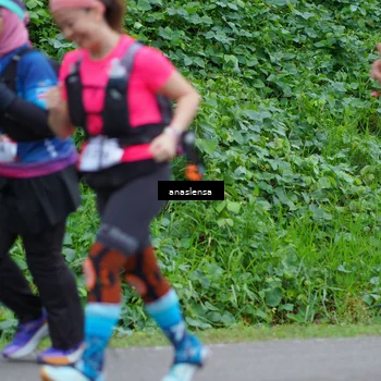 Runner Photo 5101473