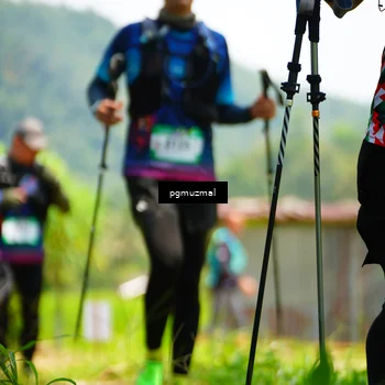 Runner Photo 5101536