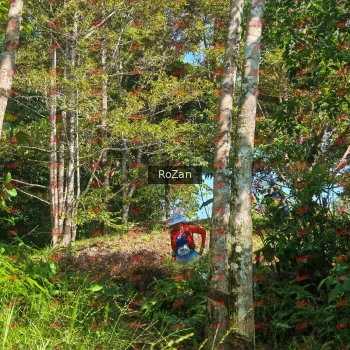 Runner Photo 5102