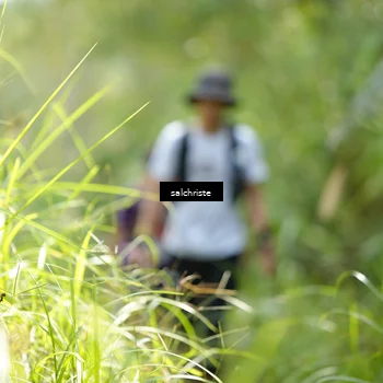 Runner Photo 5103334
