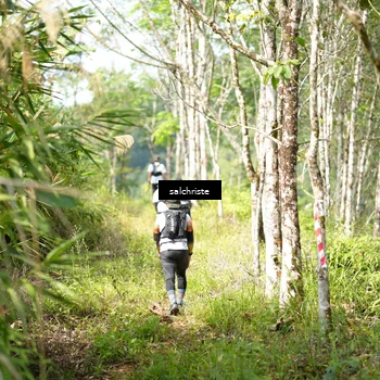 Runner Photo 5103532