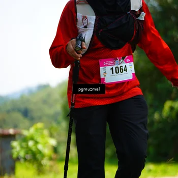 Runner Photo 5103811