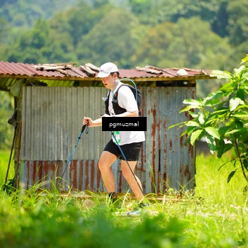 Runner Photo 5104350