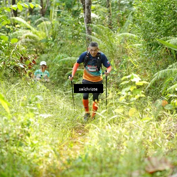 Runner Photo 5106099