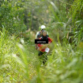 Runner Photo 5106516