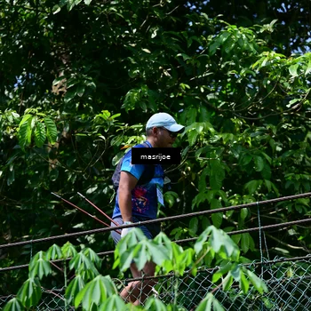 Runner Photo 5107887