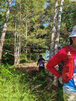 Runner Photo 5109