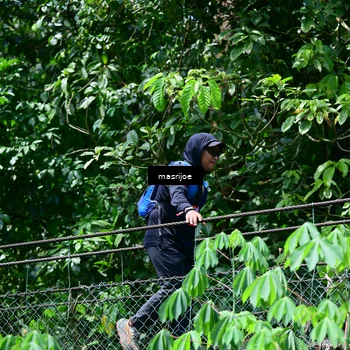 Runner Photo 5112430
