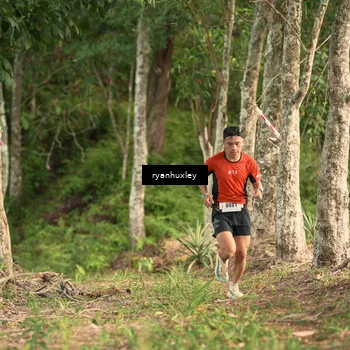 Runner Photo 5112627