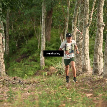 Runner Photo 5113060