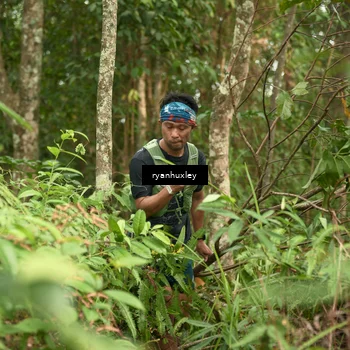 Runner Photo 5113625