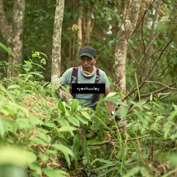 Runner Photo 5113696