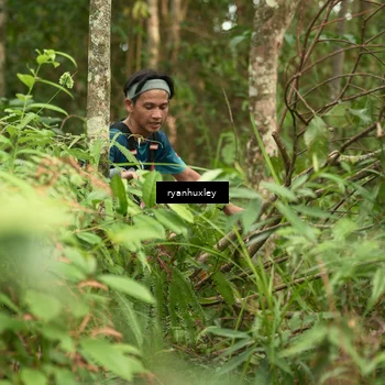 Runner Photo 5113850