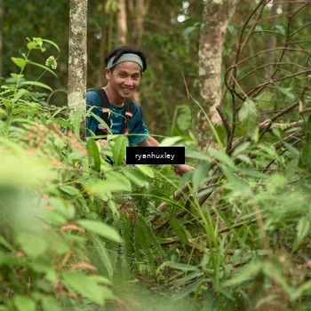 Runner Photo 5113886