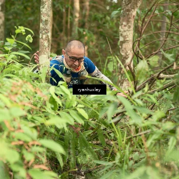 Runner Photo 5113954