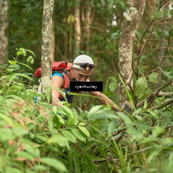 Runner Photo 5114042