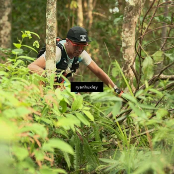 Runner Photo 5114456