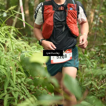 Runner Photo 5114638