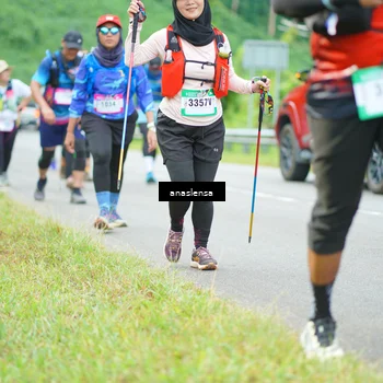 Runner Photo 5114698