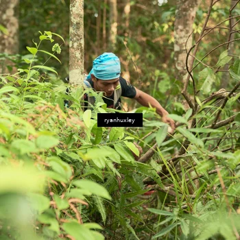 Runner Photo 5115190