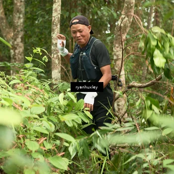 Runner Photo 5117583