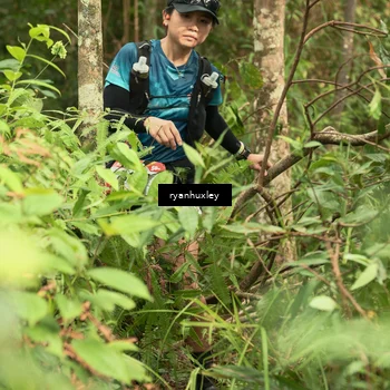 Runner Photo 5119351