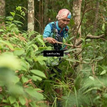 Runner Photo 5119515