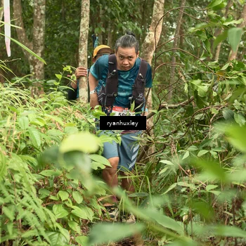 Runner Photo 5120195