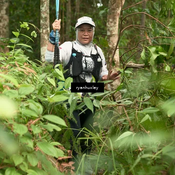 Runner Photo 5120592